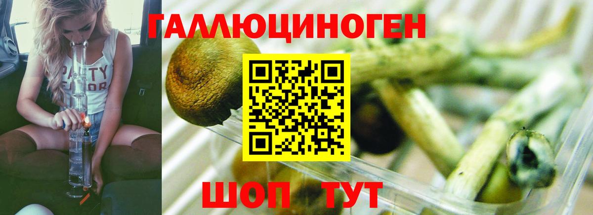 Псилоцибиновые грибы мухоморы  Галлюциногенные грибы Psilocybe  Тында  Вход с VPN 